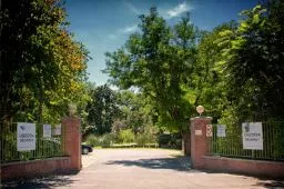 Videó
