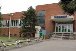 Videó
