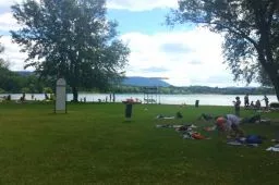 Videó