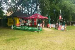 Videó