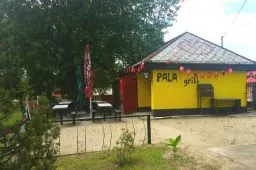 Videó