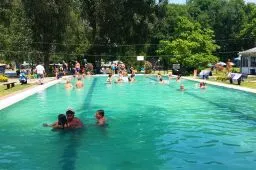 Videó