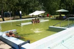 Videó