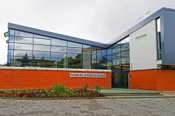 Videó