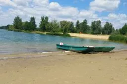 Videó