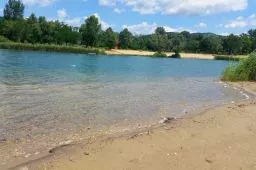 Videó