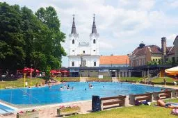 Videó