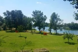 Videó