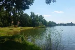 Videó