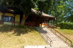 Videó