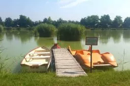 Videó