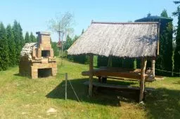 Videó