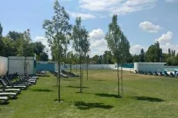 Videó