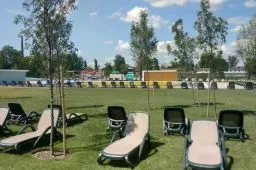Videó