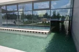 Videó