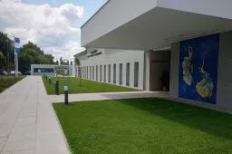 Videó