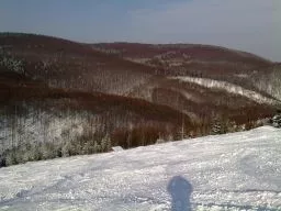 Videó