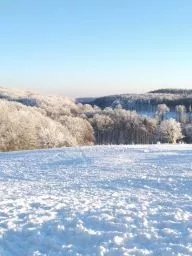 Videó