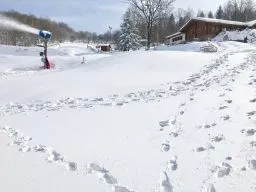 Videó