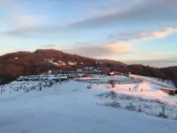 Videó