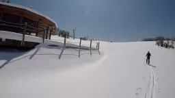 Videó