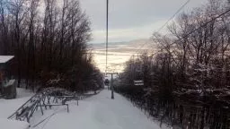 Videó