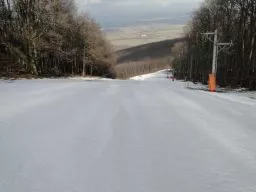 Videó