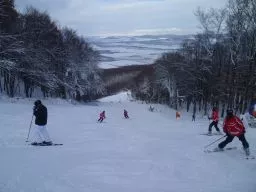 Videó