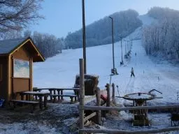 Videó