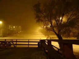 Videó