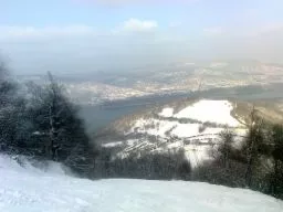 Videó