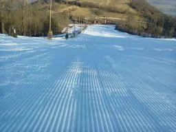 Videó
