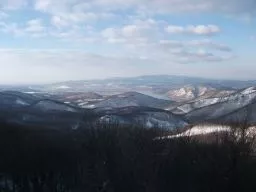 Videó