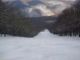 Videó