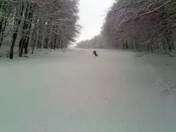 Videó