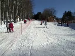 Videó