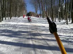 Videó
