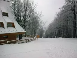 Videó
