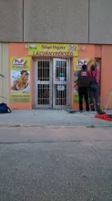 Videó