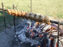 Videó
