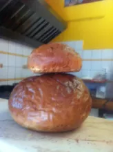 Videó